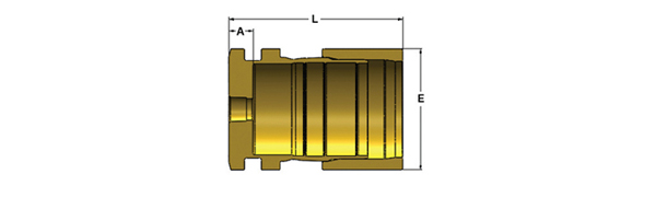 Gauge Port Caps - BR-GCAP-TXX