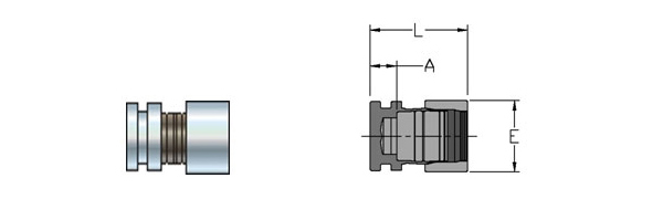 Caps - Stainless Steel Tube Fittings