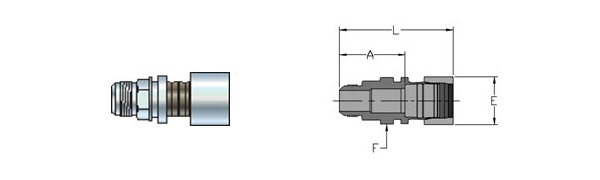 Male Connectors (37° Flare Straight Thread) - Stainless Steel Tube Fittings